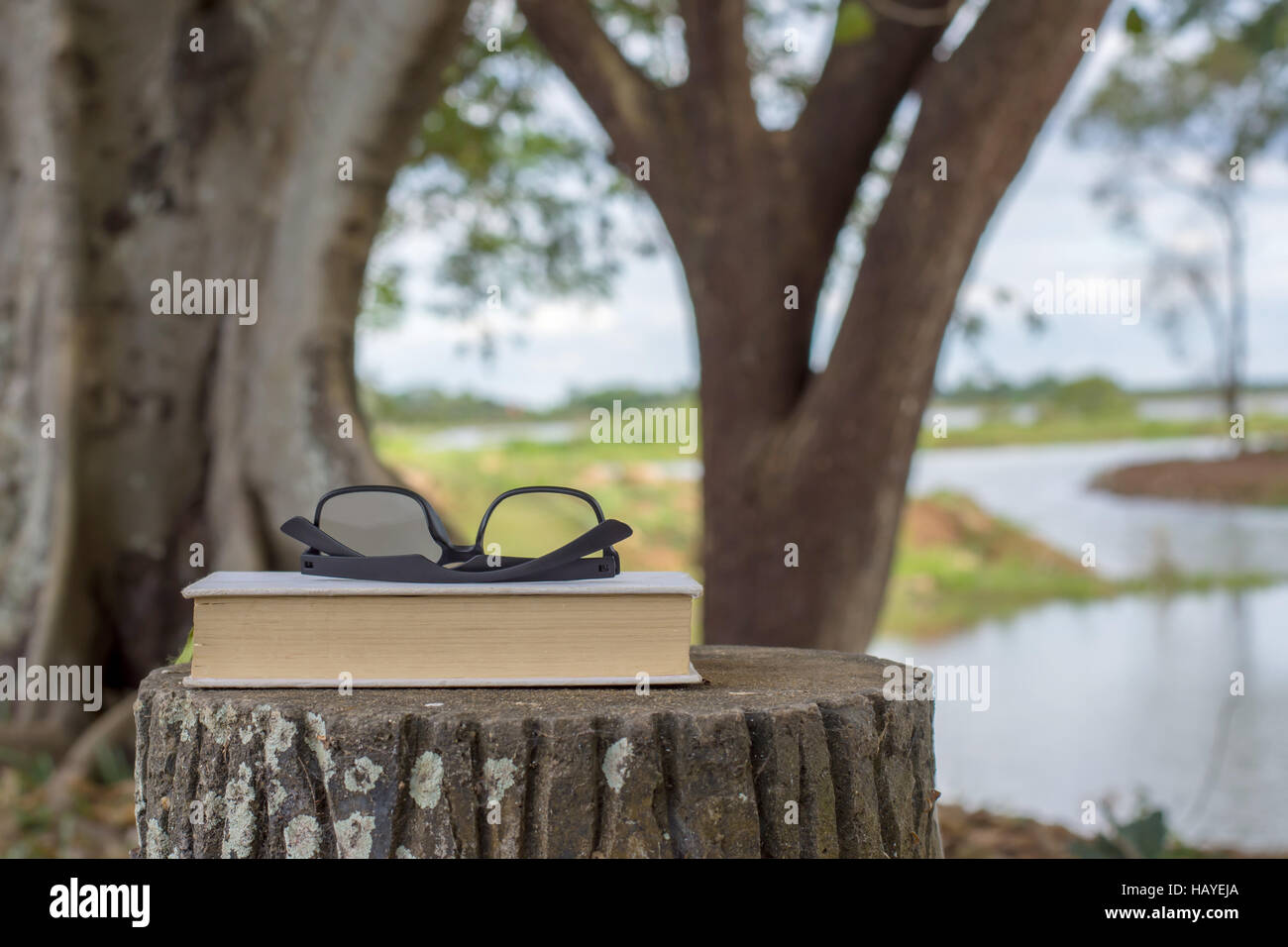 Libri con gli occhiali su una panchina nel parco. Foto Stock