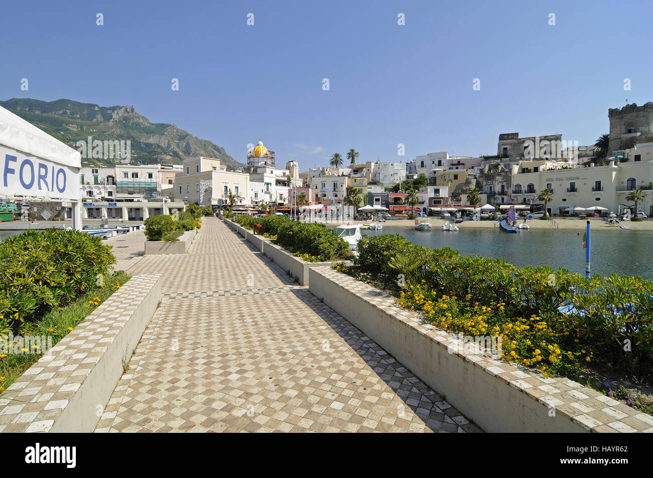 Forio, porto di Ischia Campania, Italia Foto Stock
