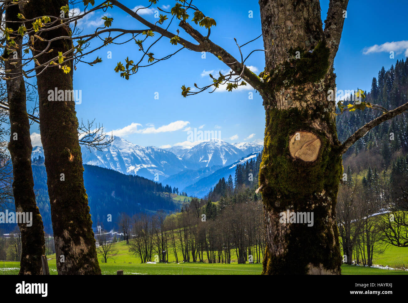 Valle verde Foto Stock