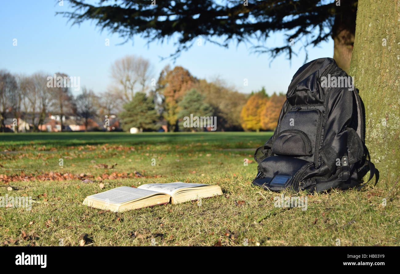 La lettura del libro nel parco sotto agli alberi in sunset Foto Stock