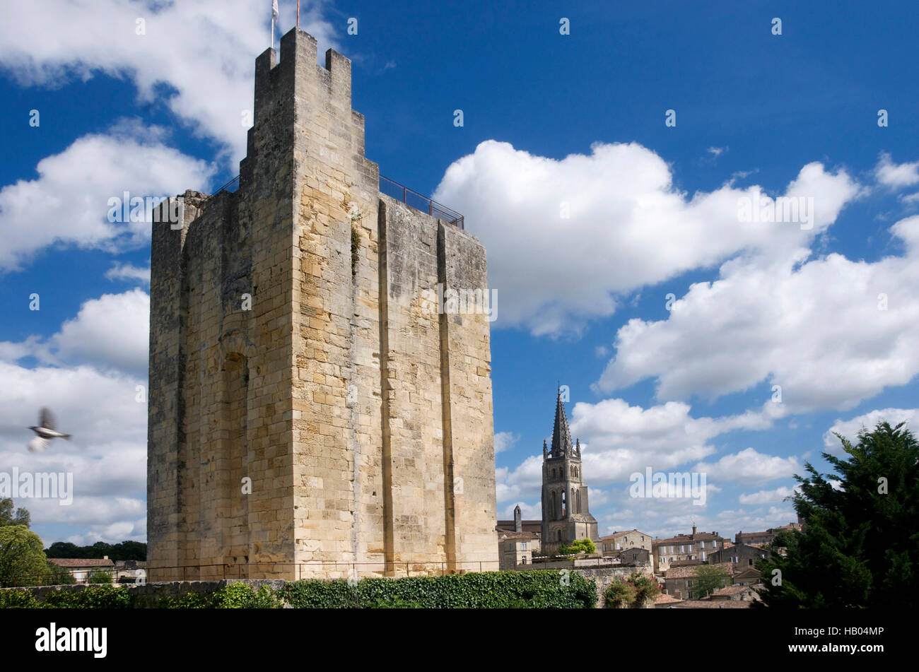 Chateau du Roi, King's Castle, torre mastio, Saint-Émilion, Gironde Bordeaux, Francia, Europa Foto Stock