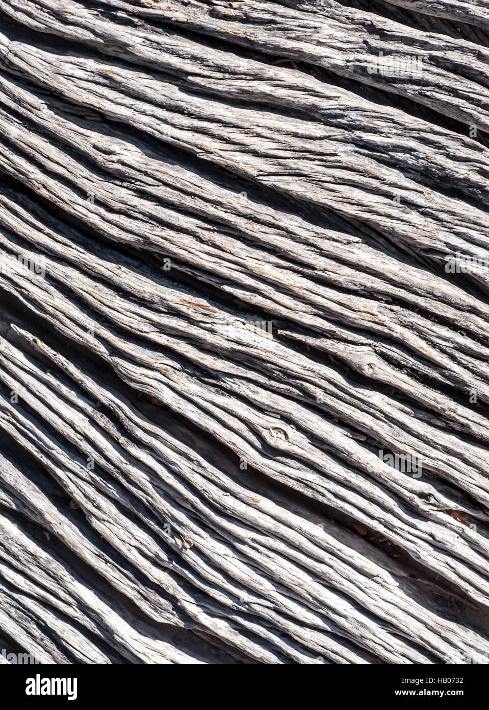 Venatura del legno Foto Stock
