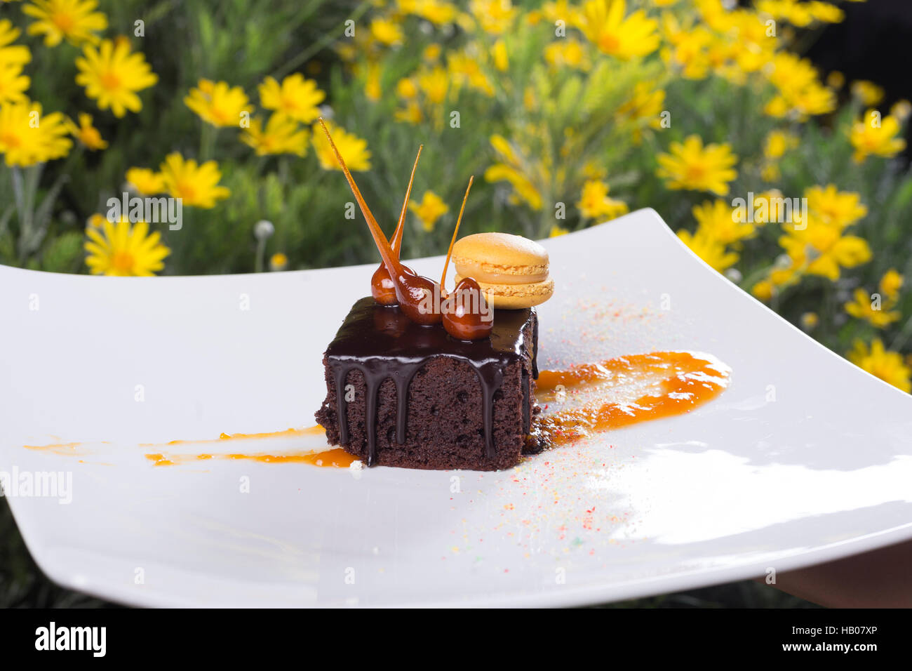 torta al cioccolato all'aperto Foto Stock