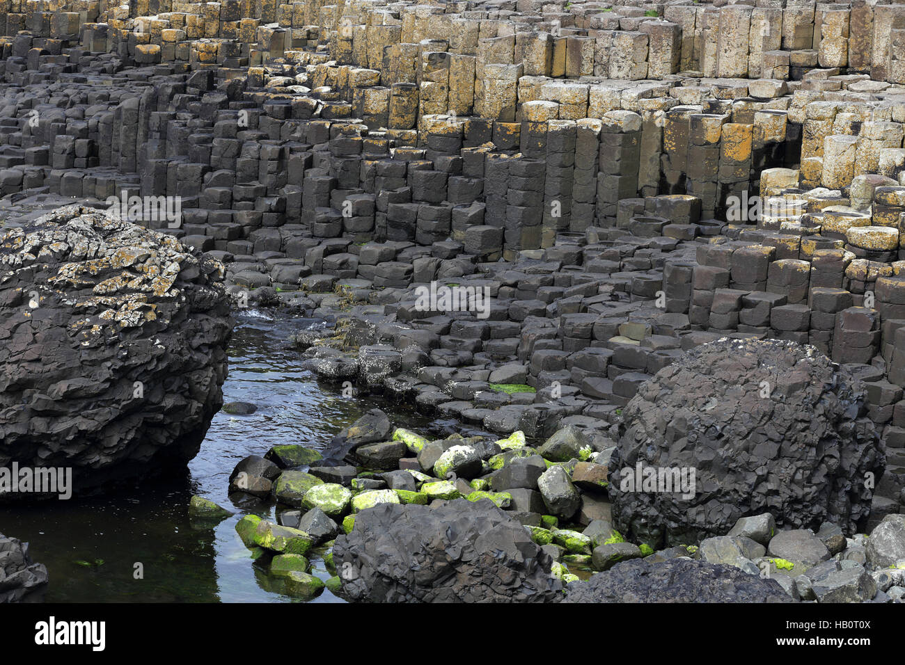 Colonne di basalto di Giant's Causeway, Ulster GB Foto Stock