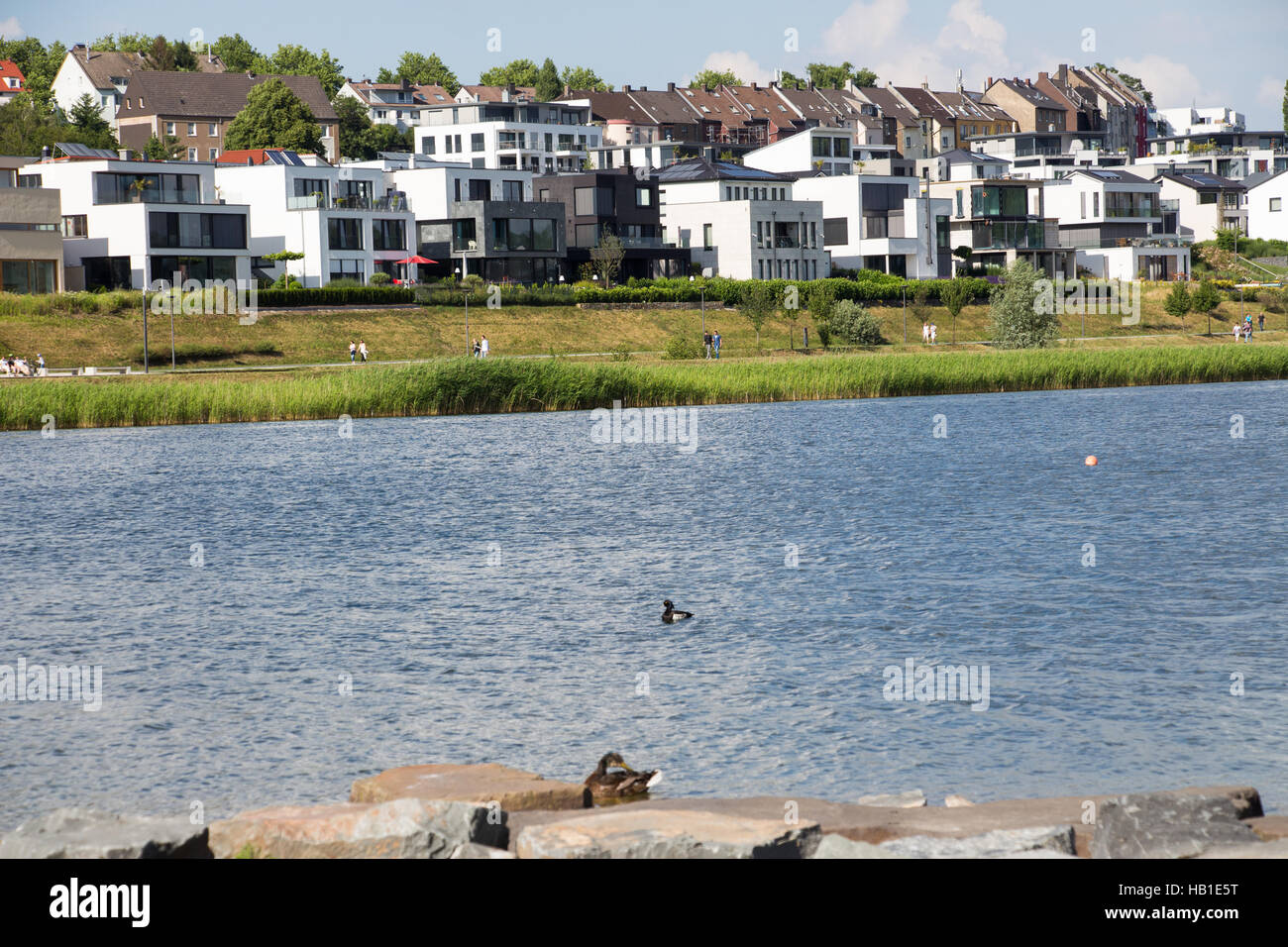 Lago di Phoenix Dortmund Foto Stock