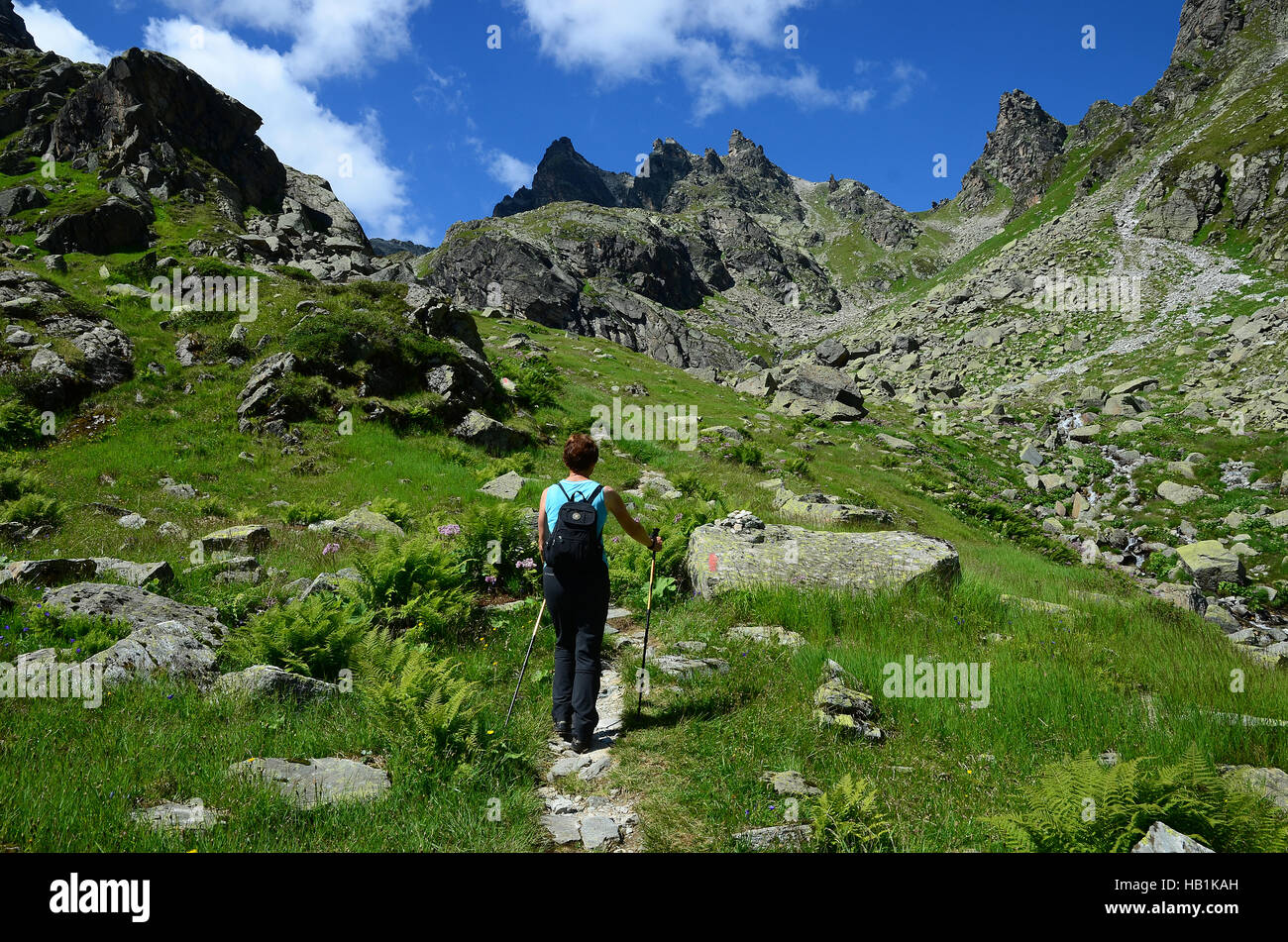 Alpi, montagne, escursionismo, Austria, Europa Foto Stock