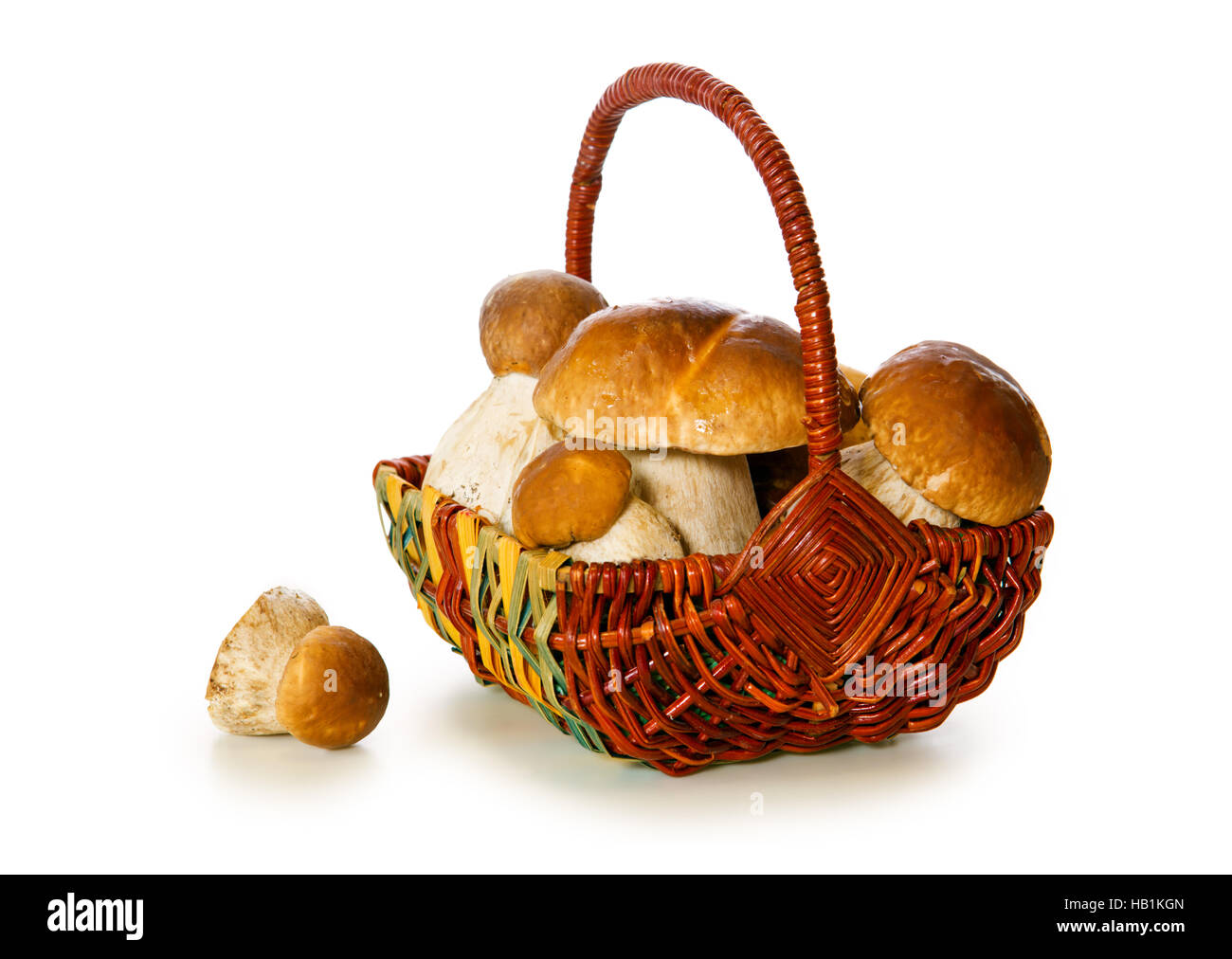 Cesto pieno di funghi porcini isolato. Foto Stock