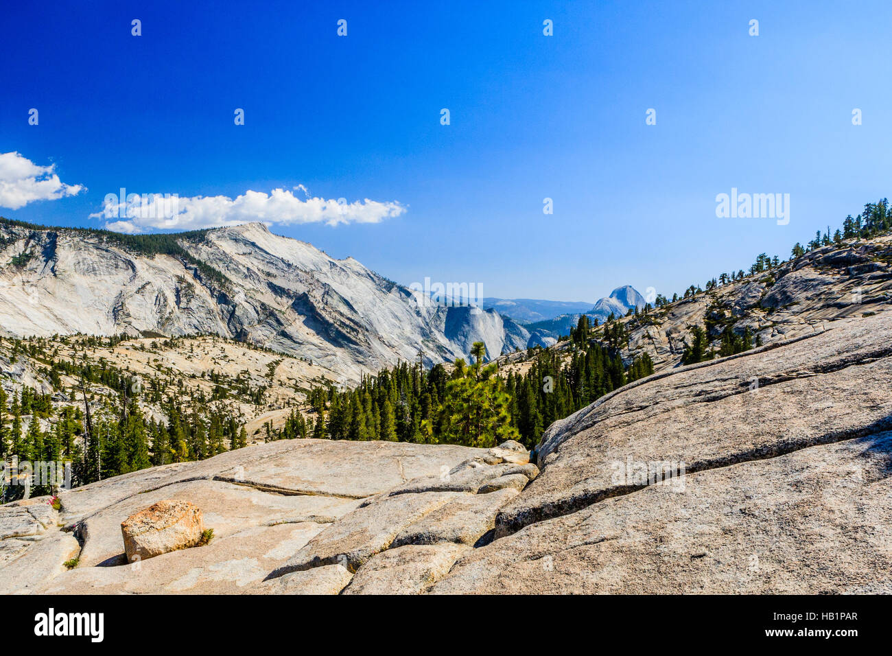 Tioga Pass è un passo di montagna nelle montagne della Sierra Nevada. Strada Statale Route 120 scorre attraverso di esso e che serve come parte orientale del punto di ingresso per il Parco Nazionale di Yosemite Nati Foto Stock