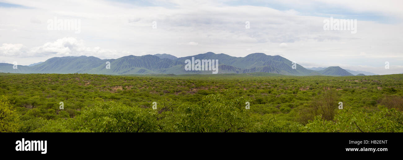 Panorama delle montagne di Zebra nel nord della Namibia, entro la regione di Kunene. Foto Stock