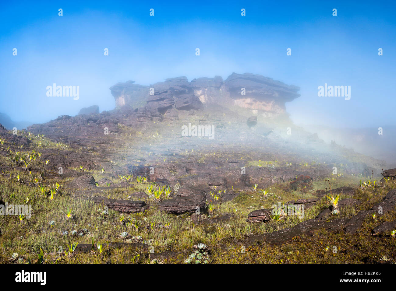 Vista surreale sulla sommità del monte Roraima con rainbow Foto Stock
