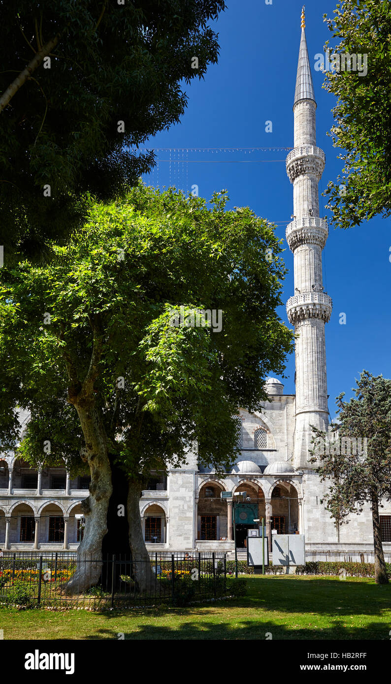 Il minareto di Sultan Ahmed moschea, Istanbul Foto Stock