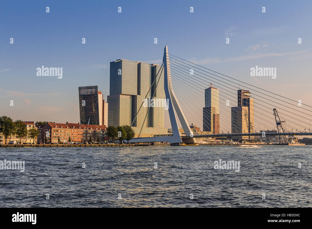 Ponte Erasmus di Rotterdam Foto Stock