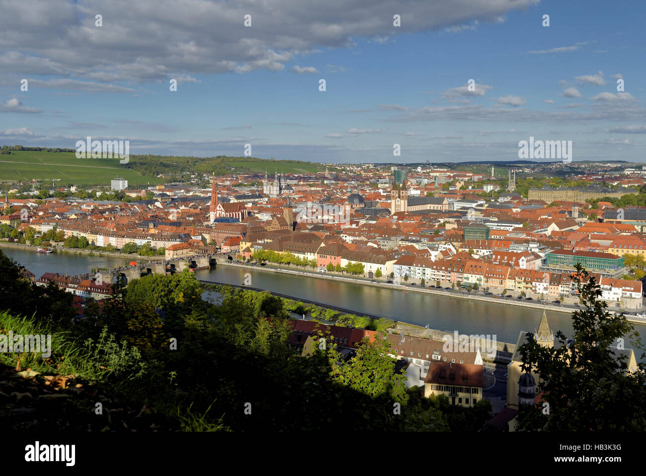 Wuerzburg panoramica Foto Stock