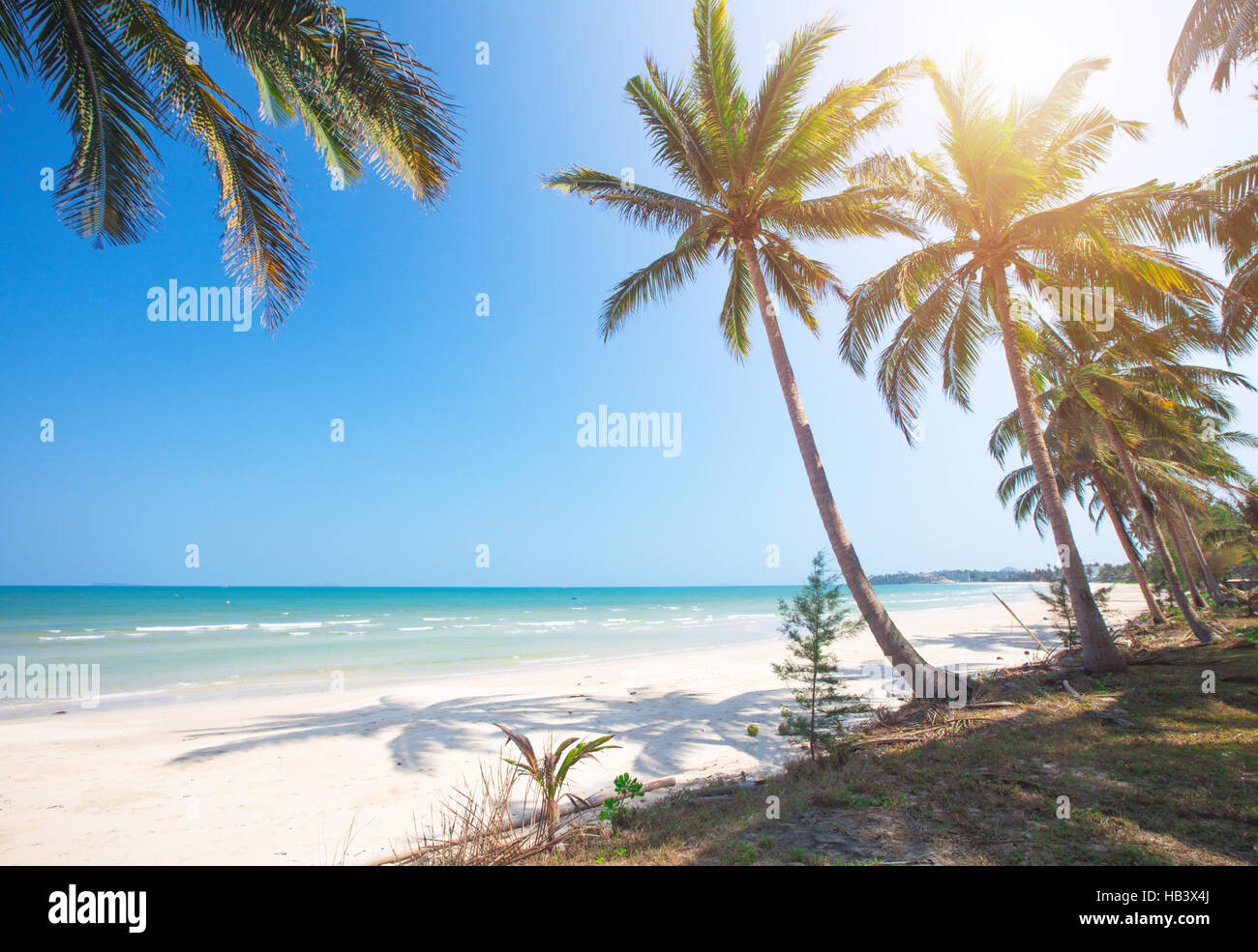 Spiaggia tropicale e palme di cocco Foto Stock