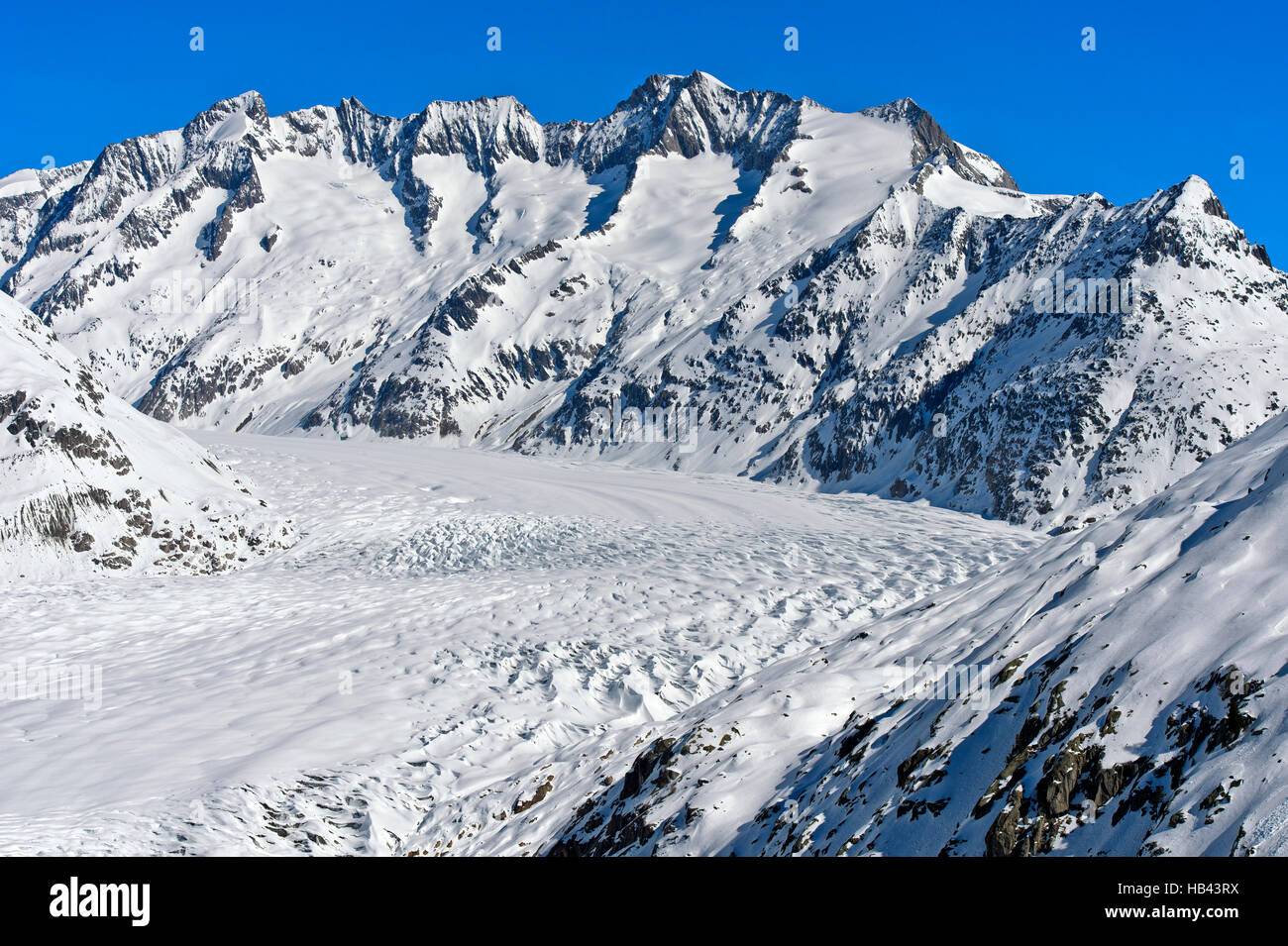 Vista su tutta la coperta di neve grande ghiacciaio di Aletsch, arena di Aletsch Riederalp, Vallese, Svizzera Foto Stock