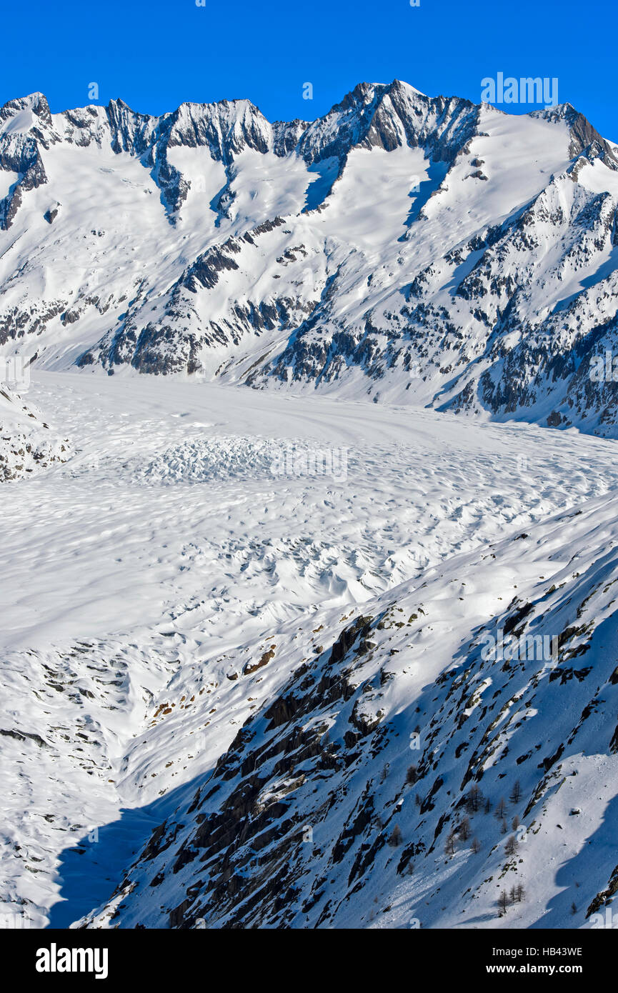 Vista su tutta la coperta di neve grande ghiacciaio di Aletsch, arena di Aletsch Riederalp, Vallese, Svizzera Foto Stock