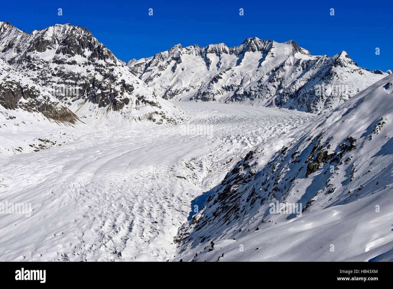Vista su tutta la coperta di neve grande ghiacciaio di Aletsch, arena di Aletsch Riederalp, Vallese, Svizzera Foto Stock