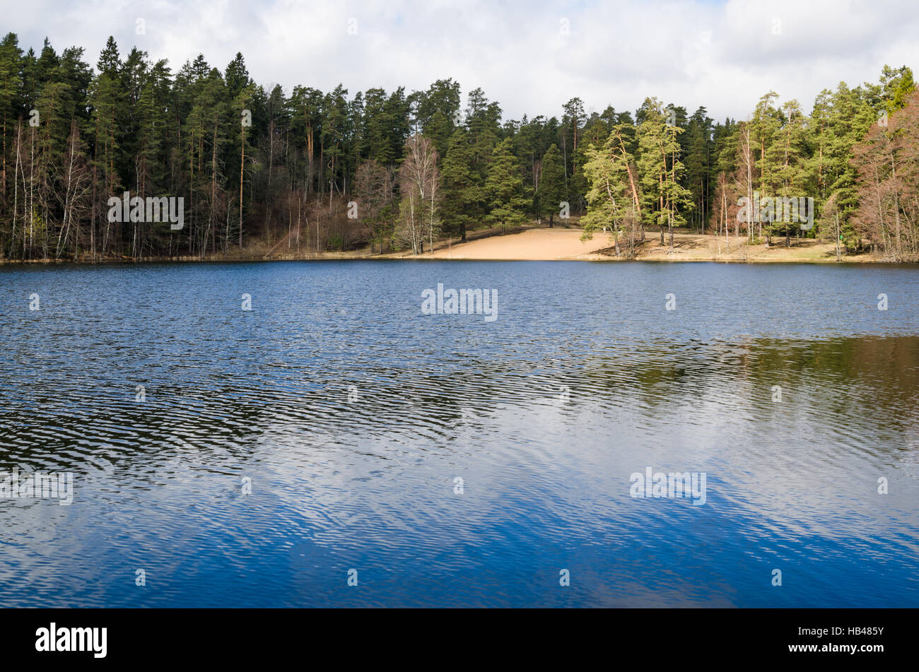 Paesaggio di Primavera al lago di legno Foto Stock