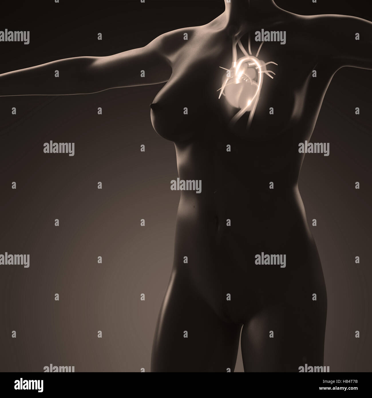 La scienza anatomia del corpo umano con candelette di cuore Foto Stock