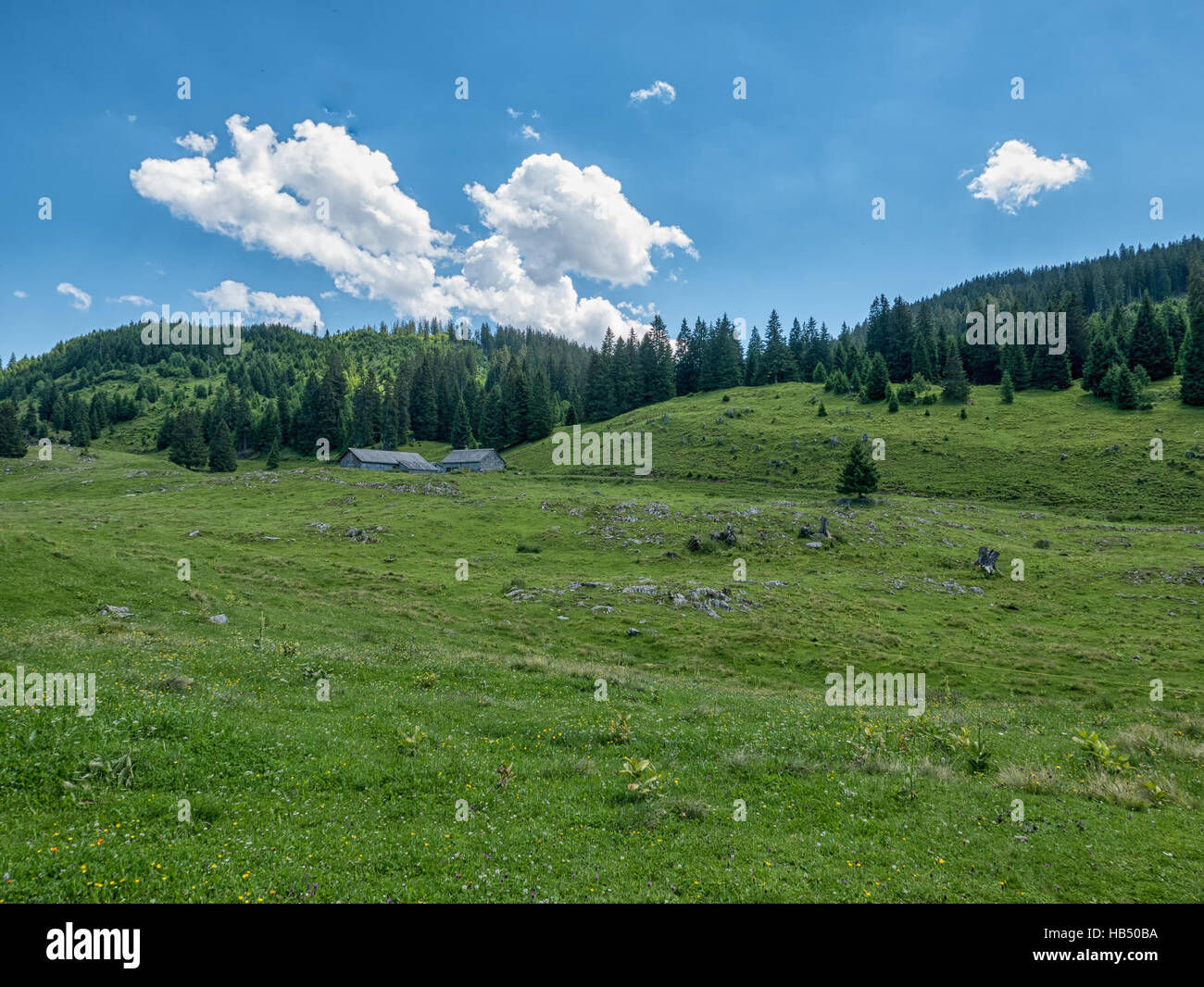 Un paesaggio svizzero che mostra le montagne e le foreste in Svizzera Foto Stock