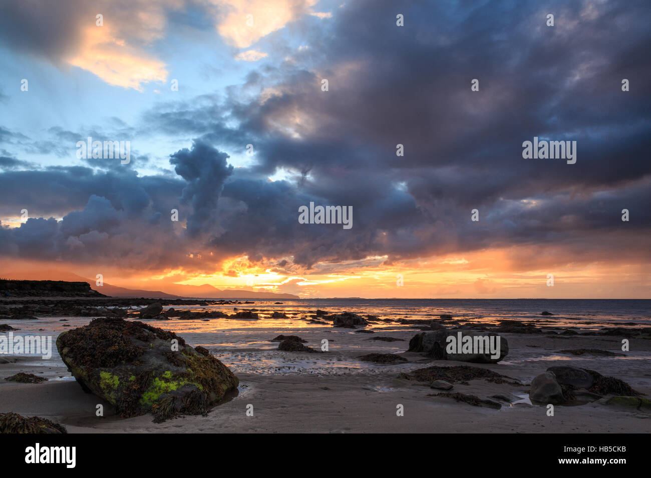 Le alghe-coperto rocce al tramonto sul filamento Derrymore sulla penisola di Dingle nella Contea di Kerry, Irlanda Foto Stock