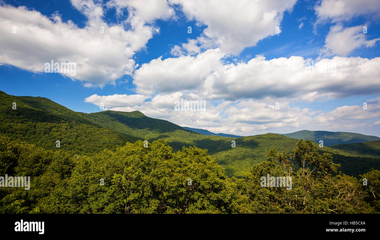 Nuvole roll passato la scenic montagne verdi di Blue Ridge Parkway in Asheville, Carolina del Nord Foto Stock