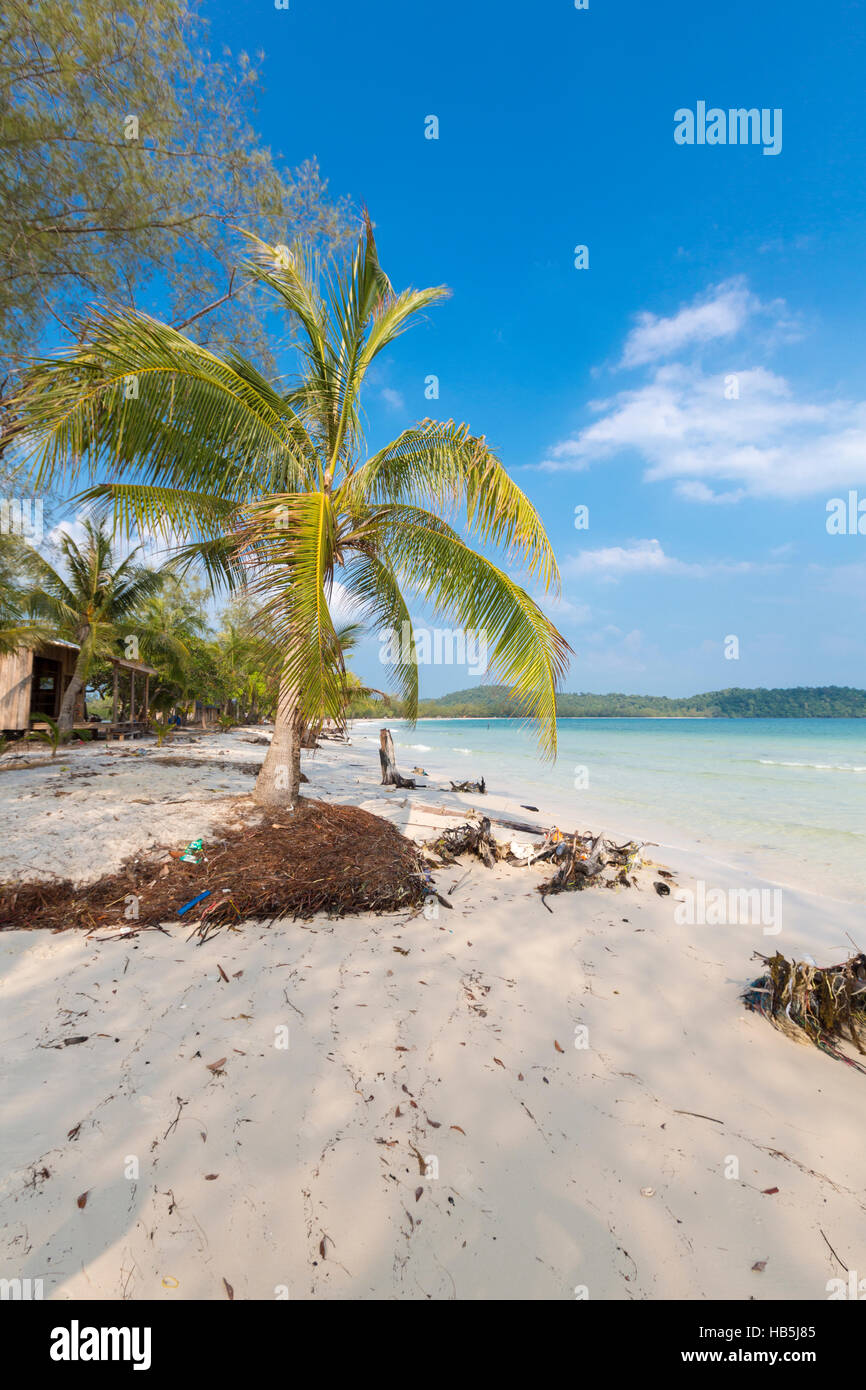 Spiaggia tropicale in Ko Rong con sea wave sulla sabbia e palme Foto Stock