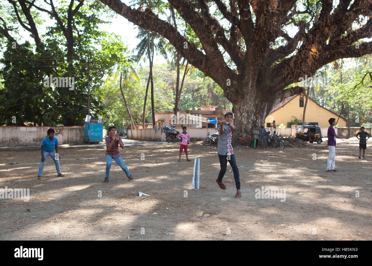 Ragazzi giocare a cricket nell'ombra di un grande albero di Fort Kochi (Cochin), Kerala, India Foto Stock
