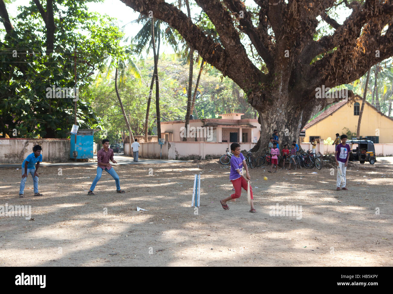 Ragazzi giocare a cricket nell'ombra di un grande albero di Fort Kochi (Cochin), Kerala, India Foto Stock