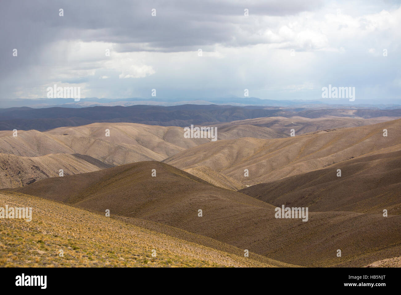 Montagne Andine e Altiplano, Bolivia Foto Stock