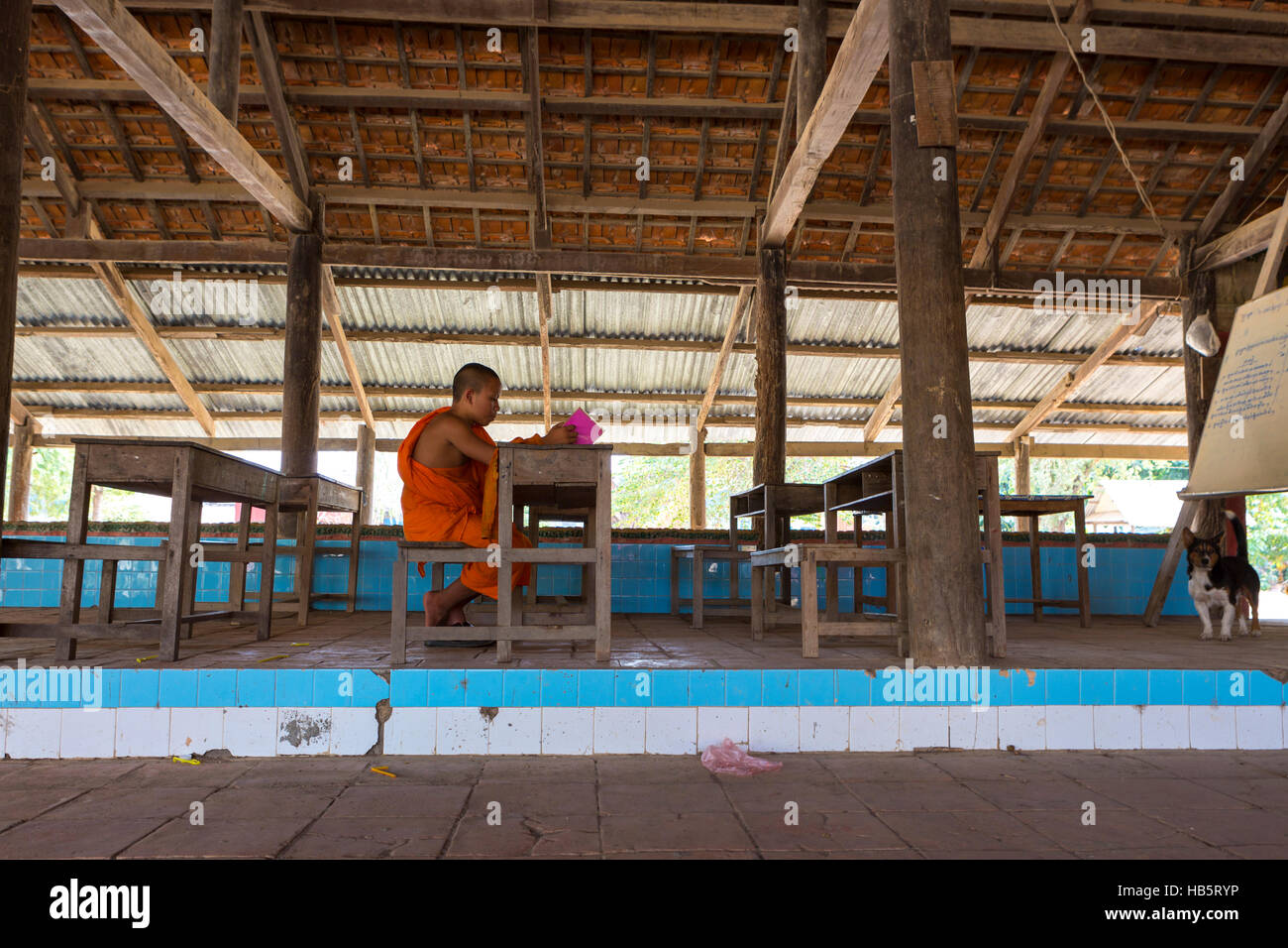 Monaco buddista che studiano in monastero a Phnom Penh Cambogia Foto Stock