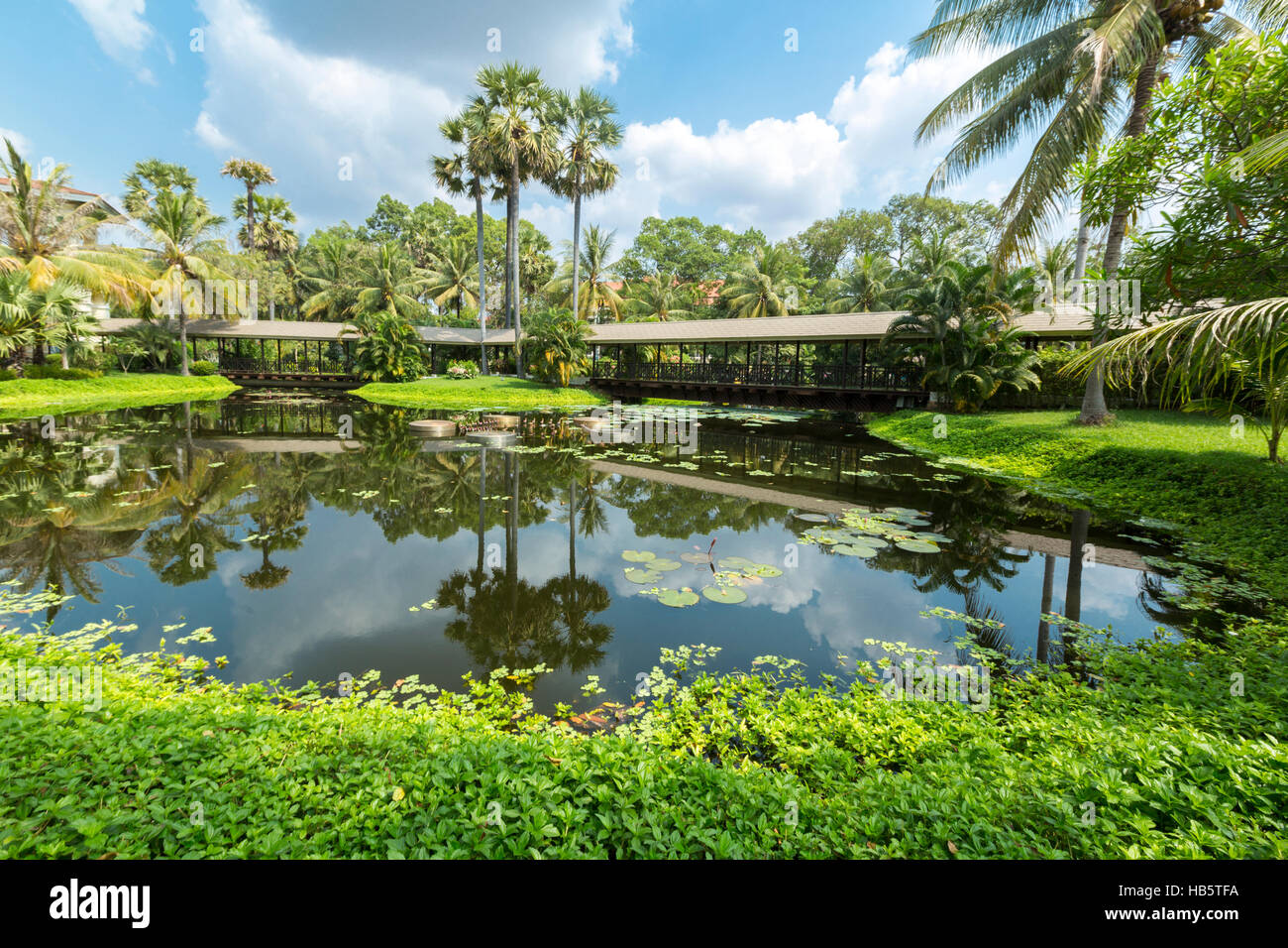 Giardino tropicale e di un piccolo stagno di acqua in Siem Reap, Cambogia Foto Stock