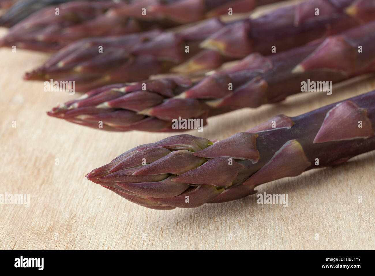 Suggerimenti di freschi Asparagi viola Foto Stock