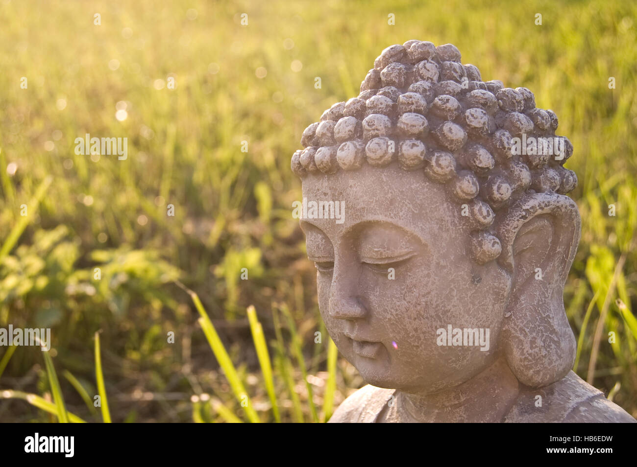 Ritratto di immagine del Buddha e il raggio di luce sul prato assolato sfondo. Simbolo del buddismo religione Foto Stock