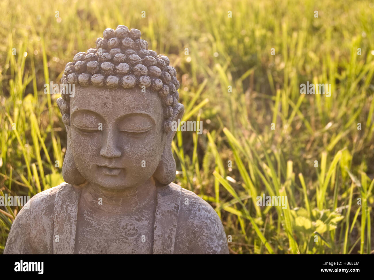 Ritratto di Buddha sul prato soleggiato e ray. Foto Stock