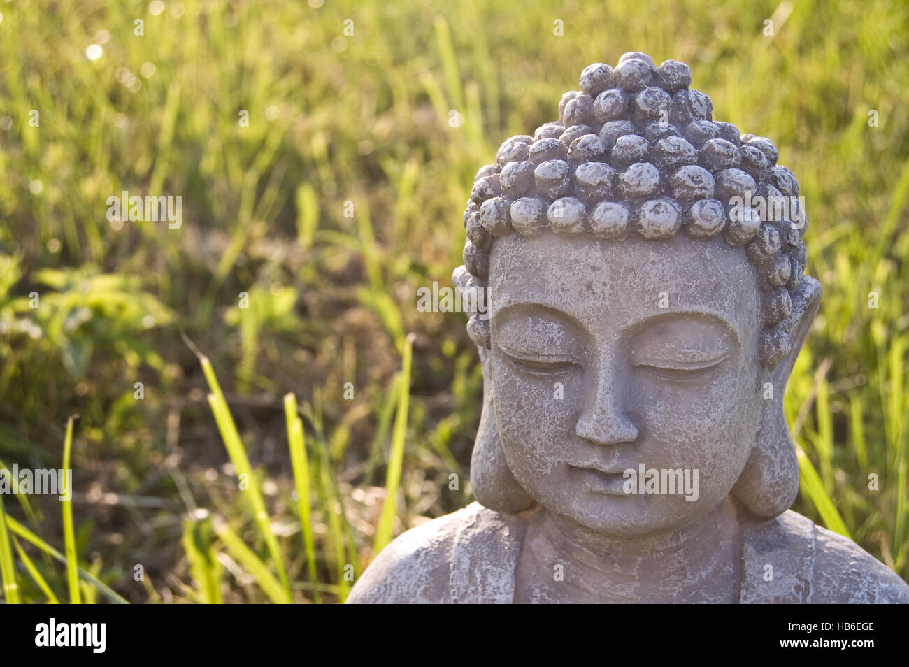 Testa di Buddha sul prato soleggiato. Foto Stock