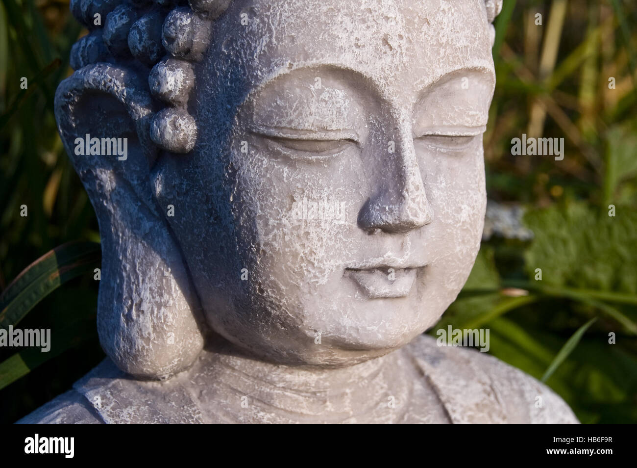 Il Buddha faccia sul prato soleggiato. Foto Stock