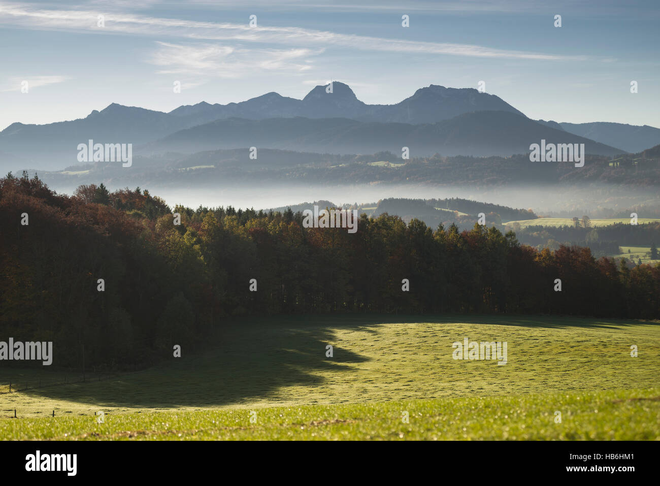 Foschia nelle valli e colorate le foreste delle alpi bavaresi con il Monte Wendelstein visto dal monte irschenberg al sole del mattino, Germania Foto Stock