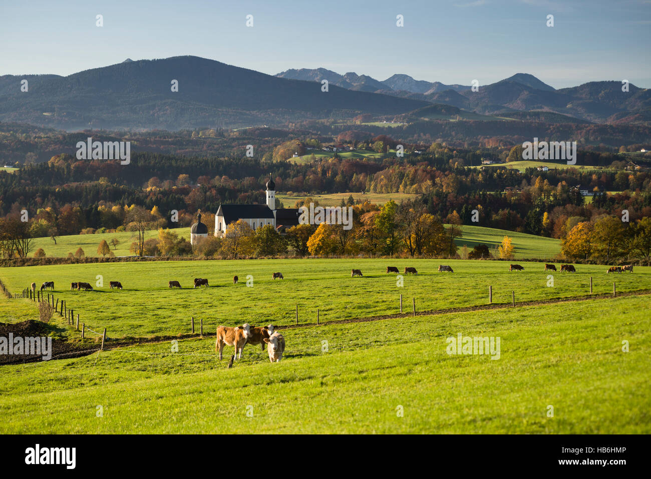 Il Wilparting barocca chiesa di pellegrinaggio nella parte anteriore delle Alpi Bavaresi con boschi e pascoli in autunno al sole del mattino Foto Stock