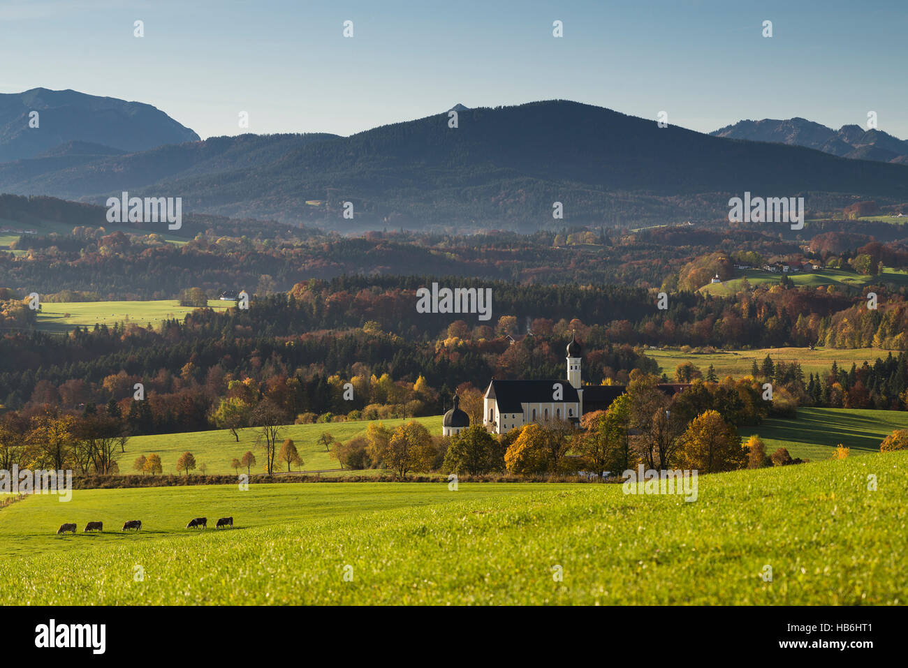 Il Wilparting barocca chiesa di pellegrinaggio nella parte anteriore delle Alpi Bavaresi con autunnale di foreste e pascoli in autunno al sole del mattino, Germania Foto Stock