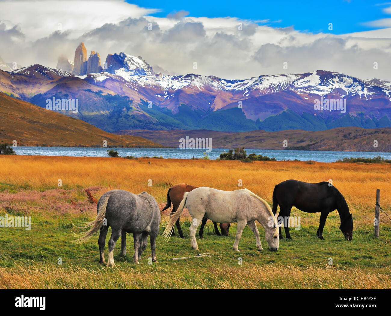 Paesaggio impressionante in Cile Foto Stock