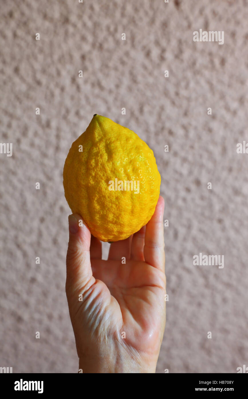 La tradizione ebraica - Sukkot Foto Stock