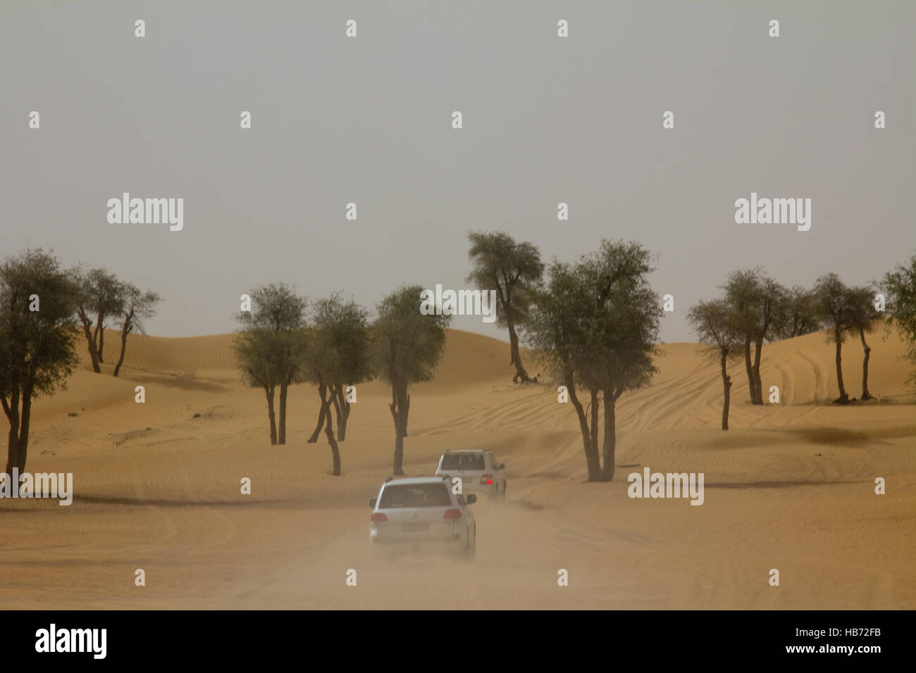 Cars driving per il safari camp dopo la traversata delle dune in Dubai EMIRATI ARABI UNITI Foto Stock