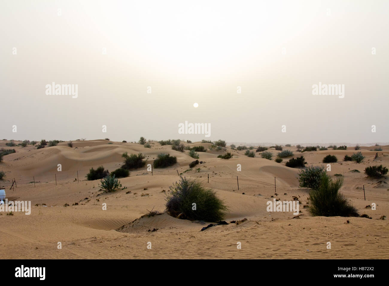 Tramonto a un safari camp in Dubai EMIRATI ARABI UNITI Foto Stock