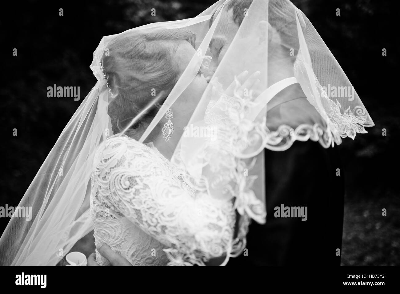 Sposa sotto il velo, sorrise e felice sposa Foto Stock