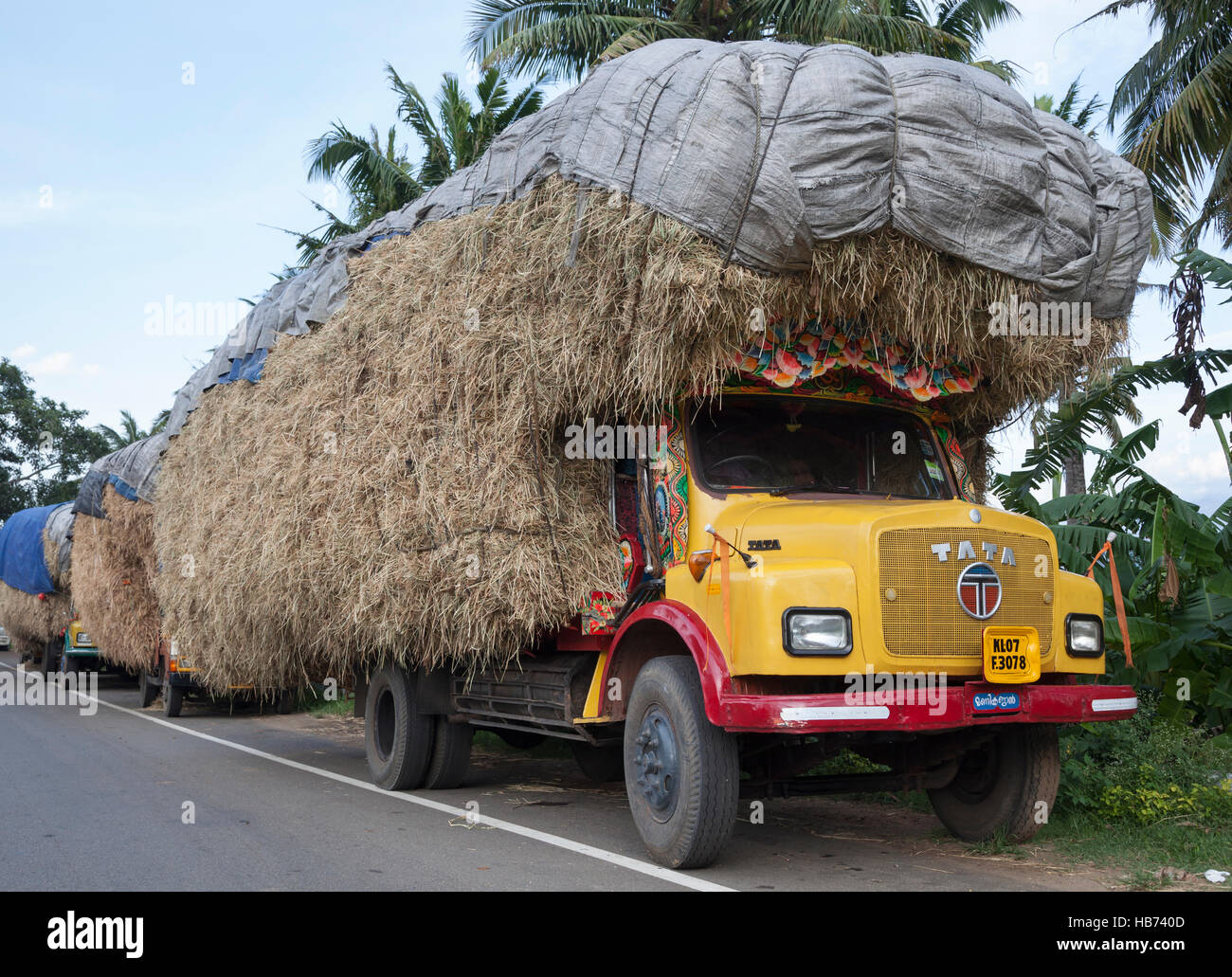 Fortemente sovraccaricato camion che trasportano il fieno. Il Tamil Nadu, India Foto Stock