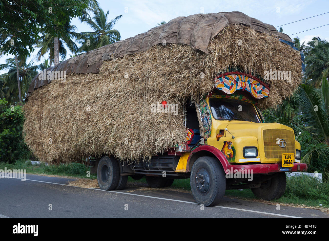 Fortemente sovraccaricato camion che trasportano il fieno. Il Tamil Nadu, India Foto Stock