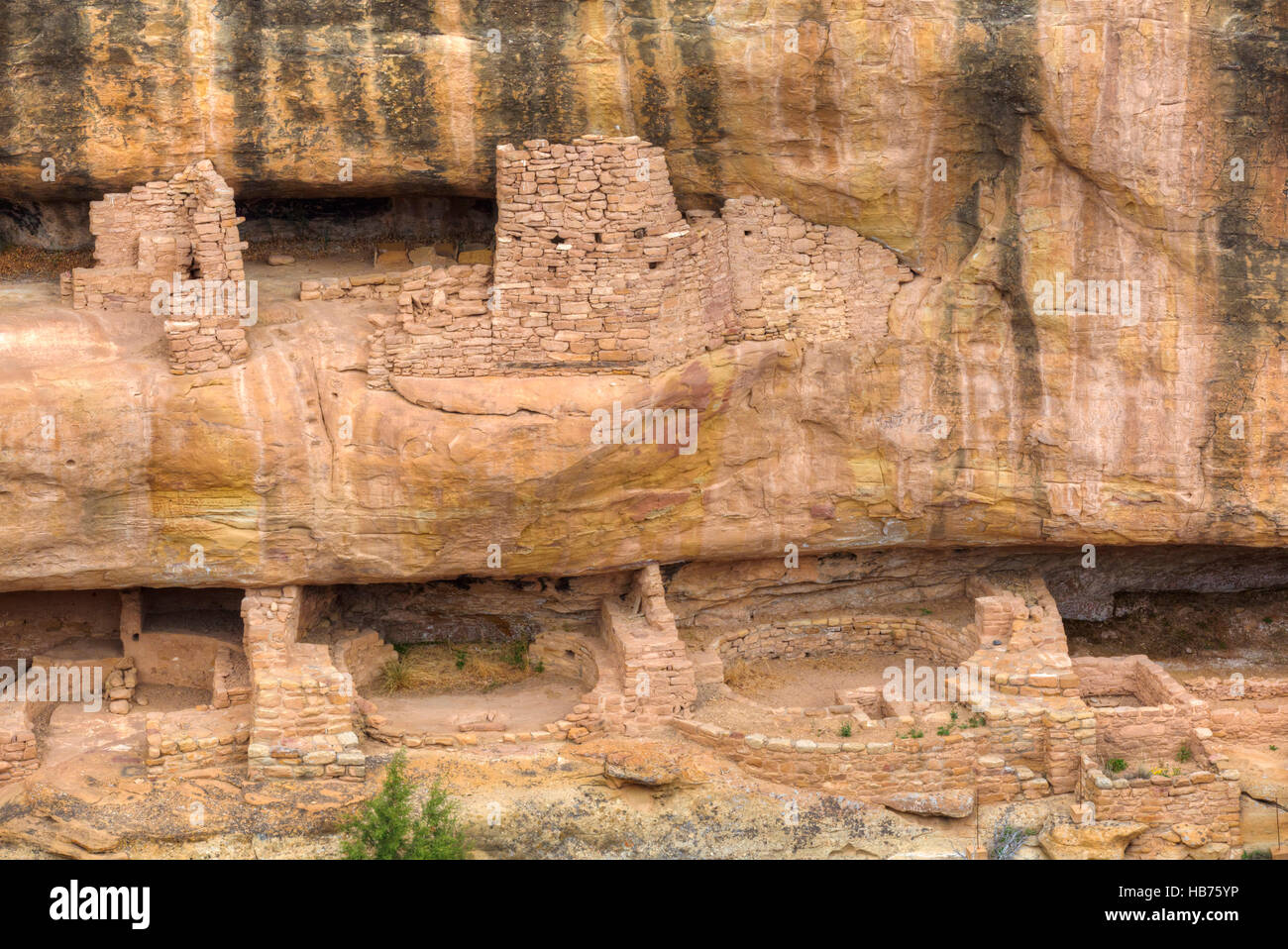 Rovine Anasazi, il tempio di fuoco, Mesa Verde National Park, sito Patrimonio Mondiale dell'UNESCO, 600 D.C. - 1.300 D.C., Colorado, STATI UNITI D'AMERICA Foto Stock