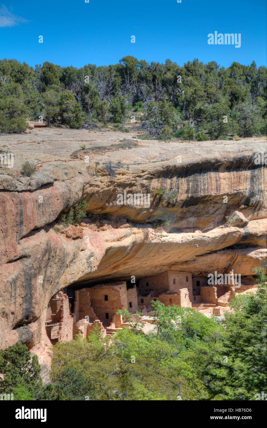 Spruce Tree House, costruita tra 1,211 e 1.278, Mesa Verde National Park, sito Patrimonio Mondiale dell'UNESCO, Colorado, STATI UNITI D'AMERICA Foto Stock