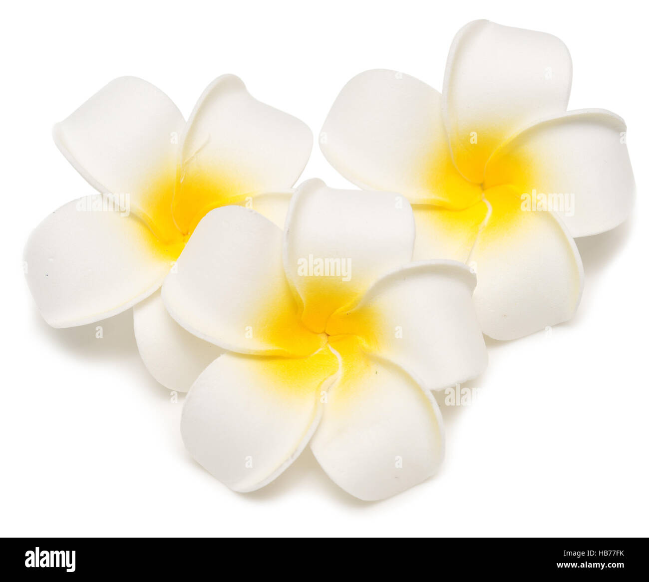 Tre fiori di frangipani Foto Stock